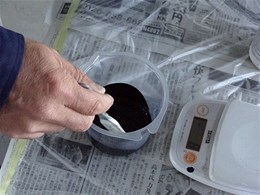 �F�c���̊m�F